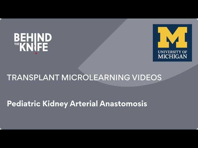 Pediatric Kidney Arterial Anastomosis
