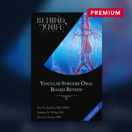 Vascular Surgery Oral Board Review Book: 2nd Edition, 2024