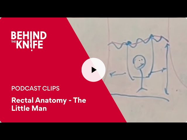 Rectal Anatomy - The Little Man